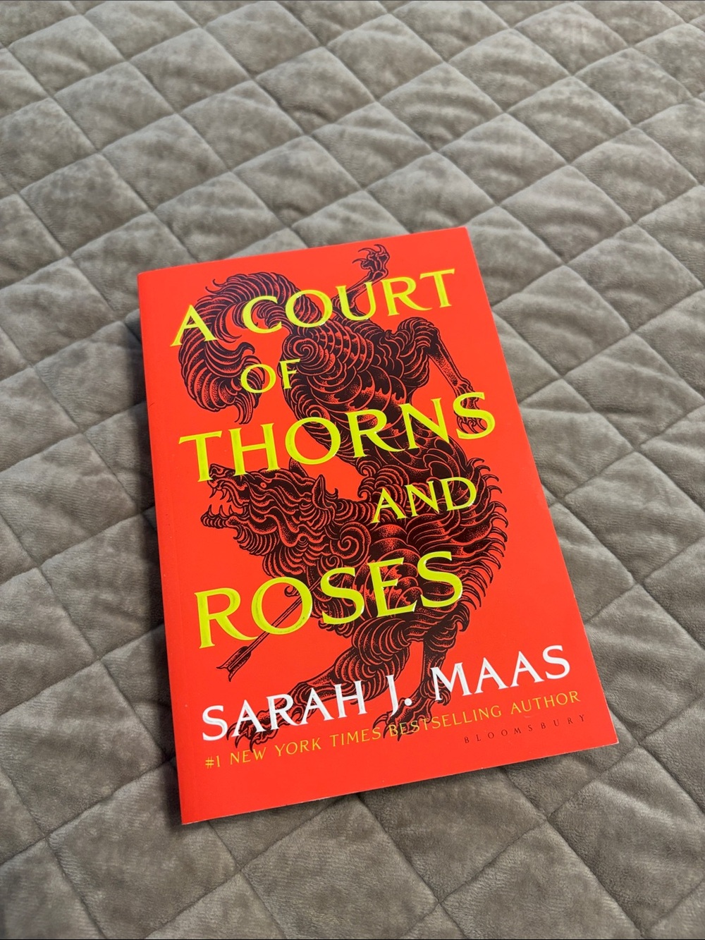 A Court of Thorns and Roses — Paperback Edition
